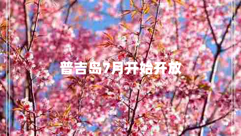 普吉島7月開始開放