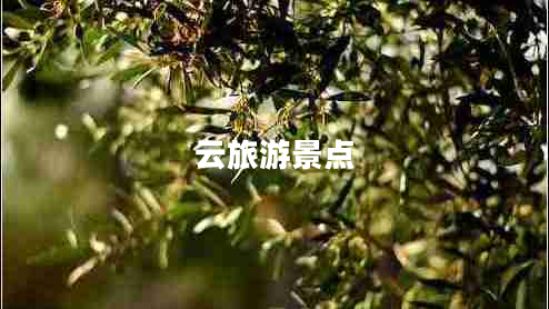 云旅游景點(diǎn)