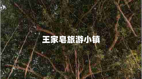 王家皂旅游小鎮(zhèn)