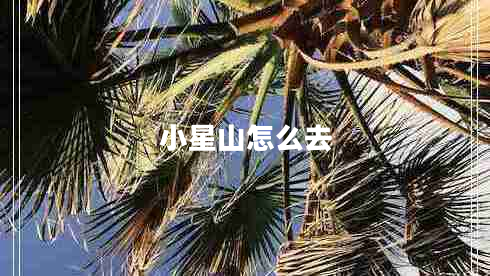 小星山怎么去