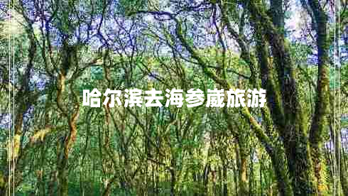 哈爾濱去海參崴旅游