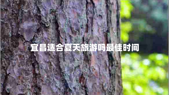 宜昌適合夏天旅游嗎最佳時間
