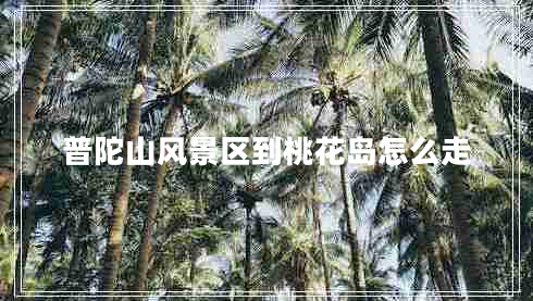 普陀山風(fēng)景區(qū)到桃花島怎么走