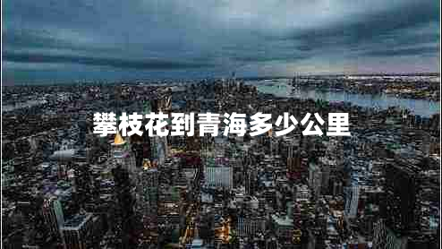 攀枝花到青海多少公里 攀枝花到青海多少公里