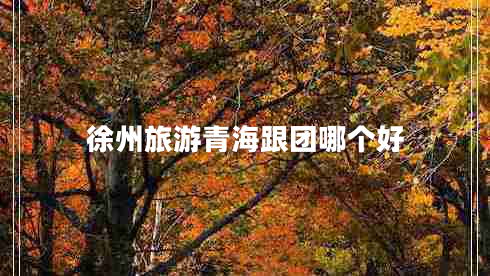 徐州旅游青海跟團(tuán)哪個(gè)好