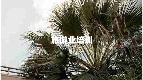 旅游業(yè)培訓