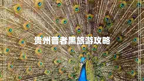 貴州普者黑旅游攻略 貴州普者黑旅游攻略