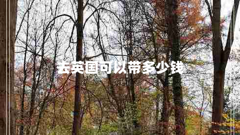 去英國可以帶多少錢 去英國可以帶多少錢