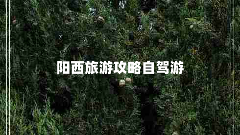 陽西旅游攻略自駕游 陽西旅游攻略自駕游