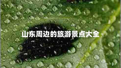 山東周邊的旅游景點(diǎn)大全 山東周邊的旅游景點(diǎn)大全