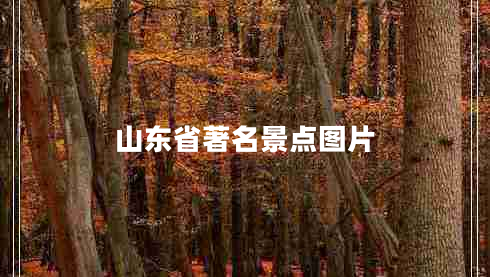 山東省著名景點(diǎn)圖片