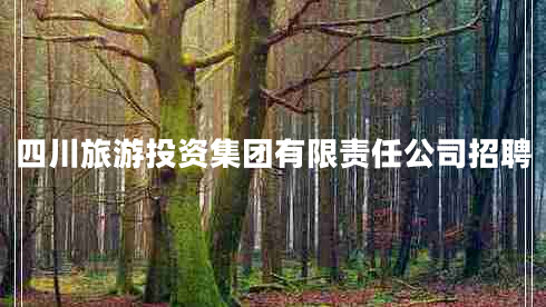 四川旅游投資集團(tuán)有限責(zé)任公司招聘