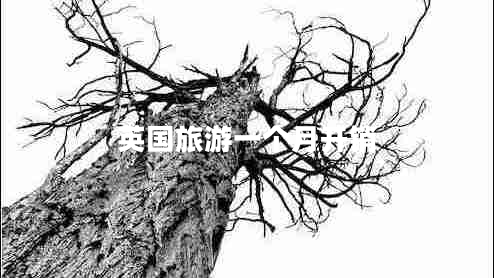 英國(guó)旅游一個(gè)月開銷