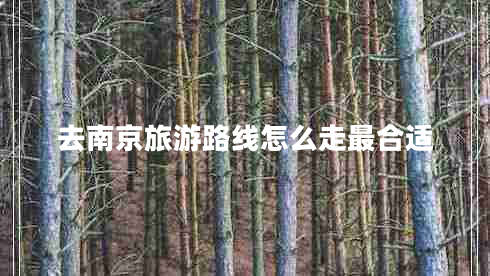 去南京旅游路線怎么走最合適