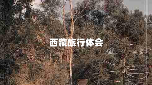 西藏旅行體會(huì) 西藏旅行體會(huì)