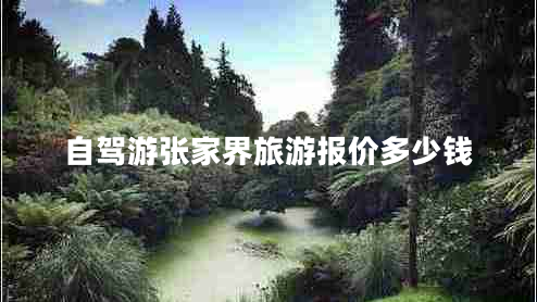 自駕游張家界旅游報價多少錢