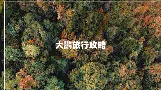 大鵬旅行攻略 大鵬旅行攻略