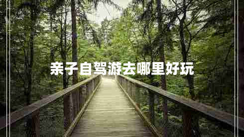 親子自駕游去哪里好玩