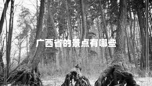 廣西省的景點(diǎn)有哪些 廣西省的景點(diǎn)有哪些