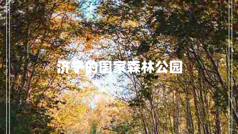 濟(jì)寧的國家森林公園