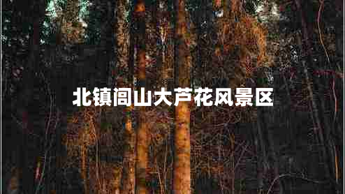 北鎮(zhèn)閭山大蘆花風(fēng)景區(qū)