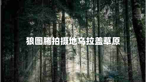 狼圖騰拍攝地烏拉蓋草原