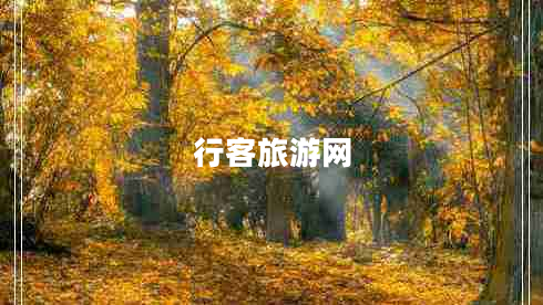 行客旅游網(wǎng)