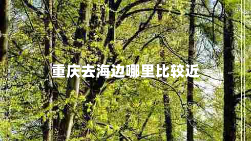 重慶去海邊哪里比較近 重慶去海邊哪里比較近
