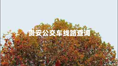 貴安公交車線路查詢