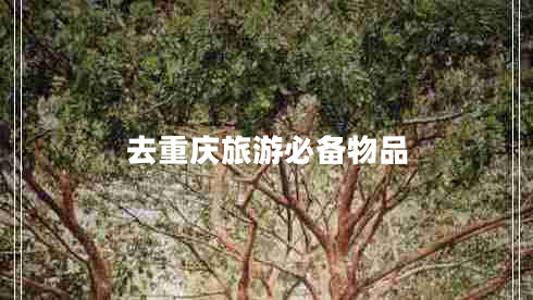 去重慶旅游必備物品