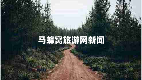馬蜂窩旅游網(wǎng)新聞