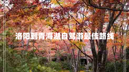 洛陽到青海湖自駕游最佳路線 洛陽到青海湖自駕游最佳路線