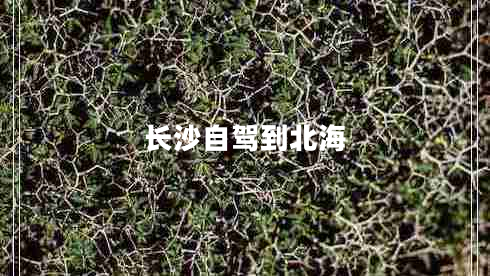 長沙自駕到北海