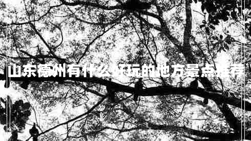 山東德州有什么好玩的地方景點(diǎn)推薦