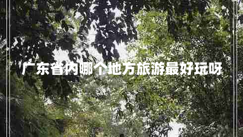 廣東省內(nèi)哪個地方旅游最好玩呀