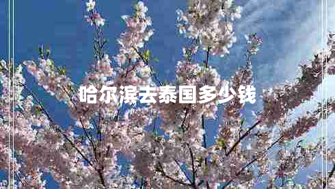 哈爾濱去泰國(guó)多少錢(qián)