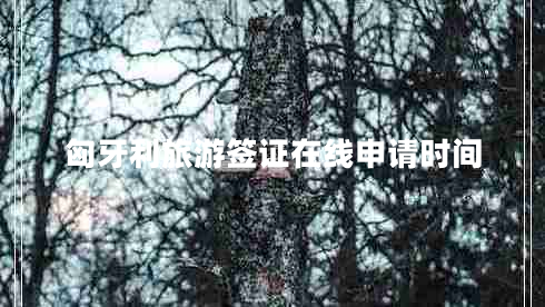 匈牙利旅游簽證在線申請時(shí)間