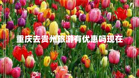 重慶去貴州旅游有優(yōu)惠嗎現(xiàn)在