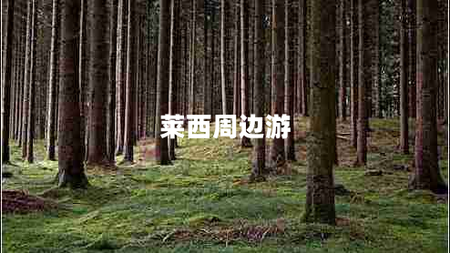 萊西周邊游 萊西周邊游