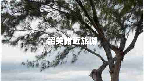 韶關(guān)附近旅游