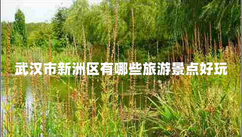 武漢市新洲區(qū)有哪些旅游景點(diǎn)好玩 武漢市新洲區(qū)有哪些旅游景點(diǎn)好玩