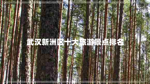 武漢新洲區(qū)十大旅游景點(diǎn)排名