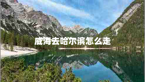 威海去哈爾濱怎么走