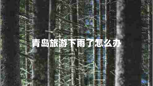 青島旅游下雨了怎么辦 青島旅游下雨了怎么辦
