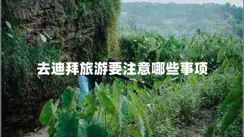 去迪拜旅游要注意哪些事項(xiàng) 去迪拜旅游要注意哪些事項(xiàng)