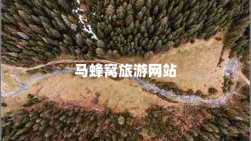 馬蜂窩旅游網(wǎng)站