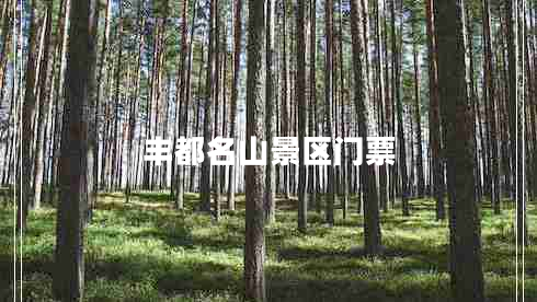 豐都名山景區(qū)門票 豐都名山景區(qū)門票