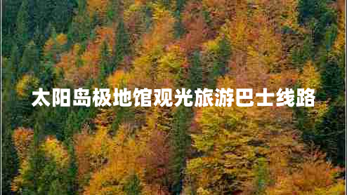 太陽島極地館觀光旅游巴士線路