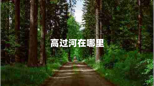 高過河在哪里