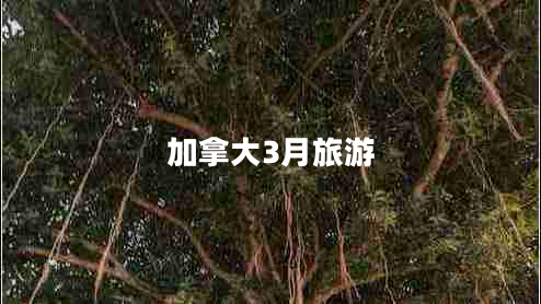 加拿大3月旅游 加拿大3月旅游